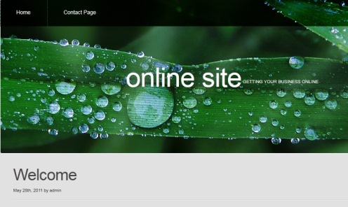 affordable website